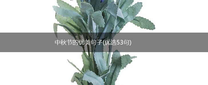 中秋节的优美句子(优选53句),第1张