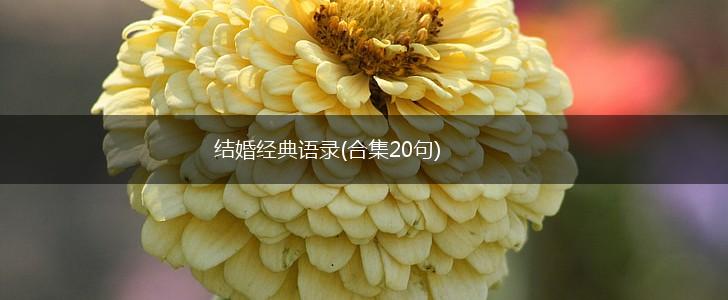 结婚经典语录(合集20句),第1张