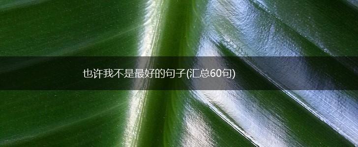 也许我不是最好的句子(汇总60句),第1张