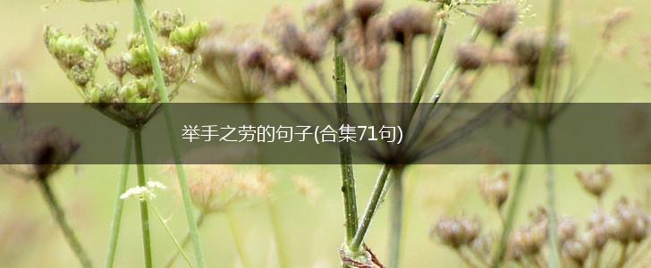 举手之劳的句子(合集71句),第1张