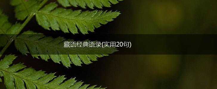 藏语经典语录(实用20句),第1张