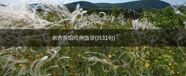 老舍茶馆经典语录(共31句),第1张