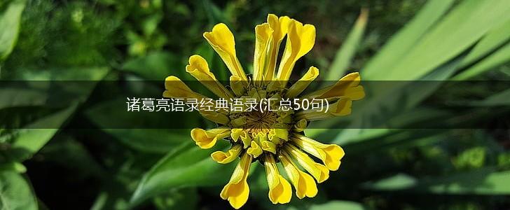 诸葛亮语录经典语录(汇总50句),第1张