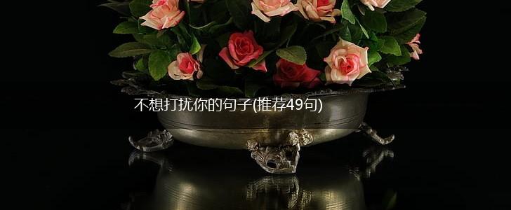 不想打扰你的句子(推荐49句),第1张