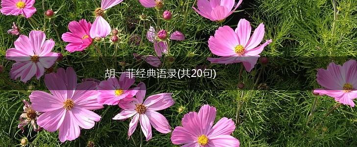 胡一菲经典语录(共20句),第1张
