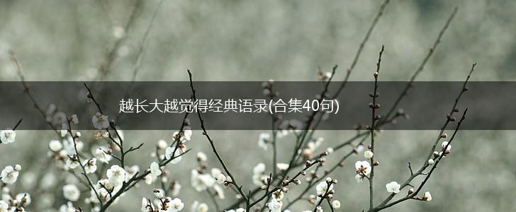 越长大越觉得经典语录(合集40句),第1张