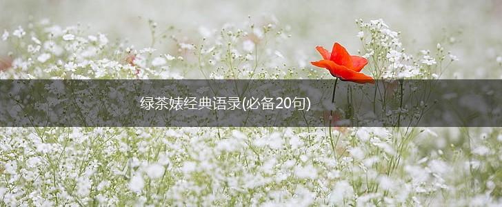 绿茶婊经典语录(必备20句),第1张