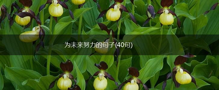 为未来努力的句子(40句),第1张
