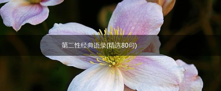 第二性经典语录(精选80句),第1张 第二性经典语录(精选80句),第1张