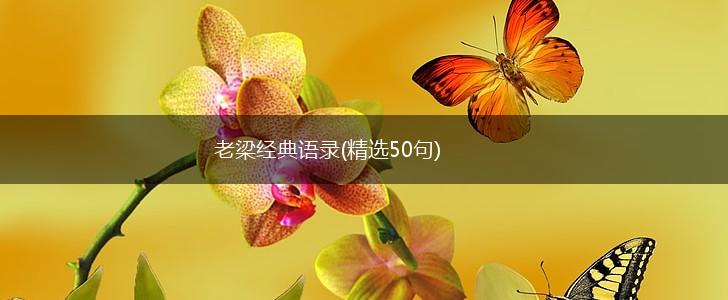 老梁经典语录(精选50句),第1张