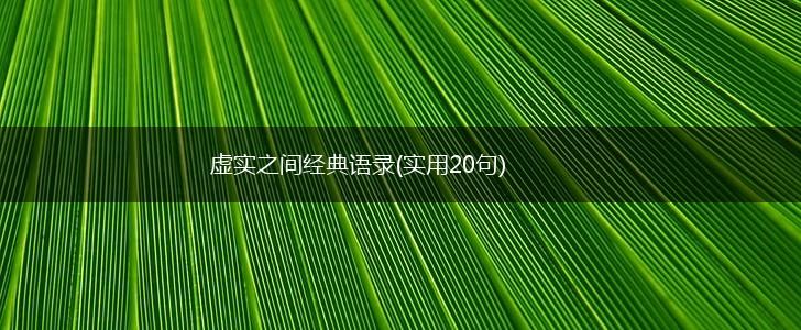 虚实之间经典语录(实用20句),第1张