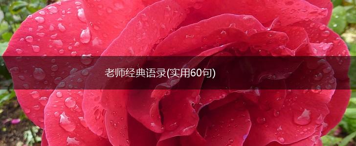 老师经典语录(实用60句),第1张