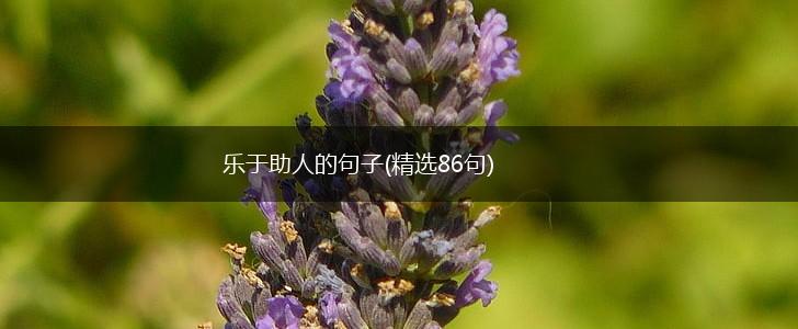 乐于助人的句子(精选86句),第1张