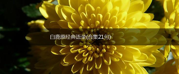 白鹿原经典语录(合集21句),第1张