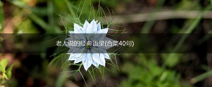 老人说的经典语录(合集40句),第1张