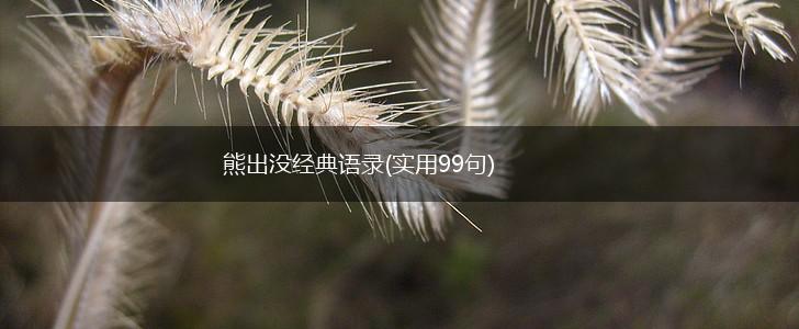 熊出没经典语录(实用99句),第1张