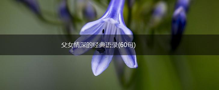 父女情深的经典语录(60句),第1张