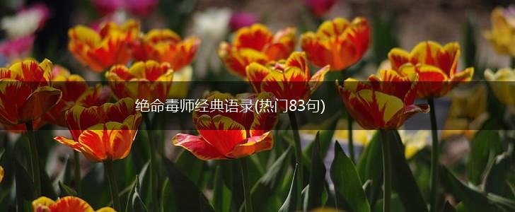 绝命毒师经典语录(热门83句),第1张