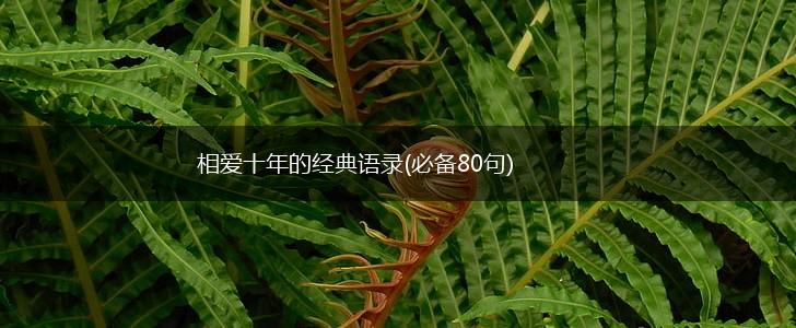相爱十年的经典语录(必备80句),第1张