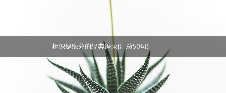相识是缘分的经典语录(汇总50句),第1张