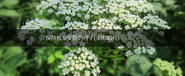 保持教室安静的句子(实用80句),第1张