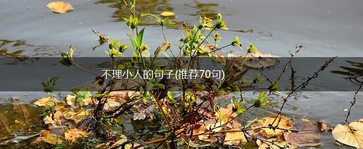 不理小人的句子(推荐70句),第1张