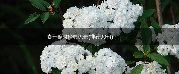 素年锦时经典语录(推荐90句),第1张