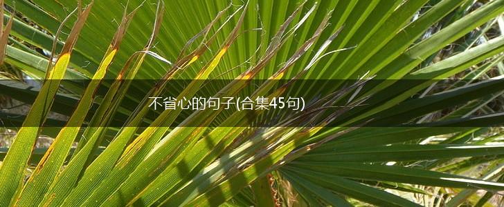 不省心的句子(合集45句),第1张