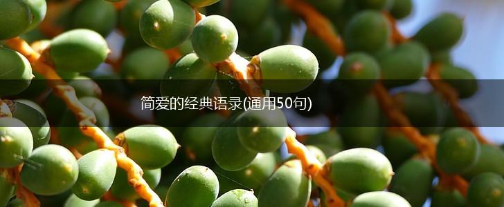 简爱的经典语录(通用50句),第1张