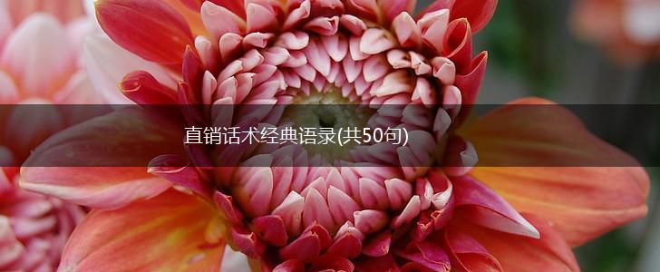 直销话术经典语录(共50句),第1张