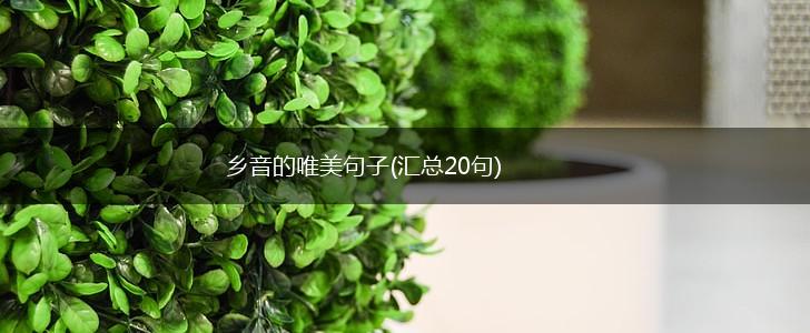 乡音的唯美句子(汇总20句),第1张
