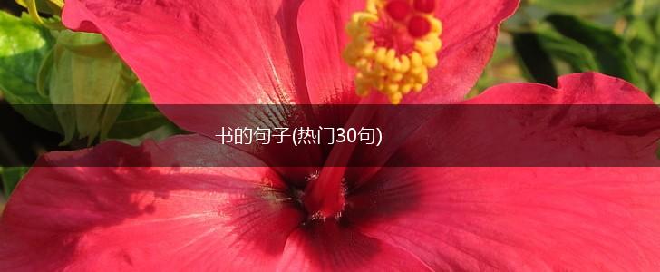 书的句子(热门30句),第1张