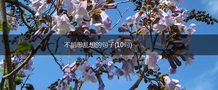 不胡思乱想的句子(10句),第1张