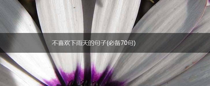 不喜欢下雨天的句子(必备70句),第1张