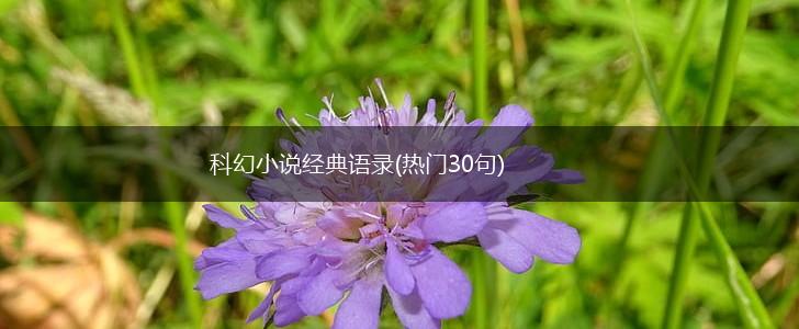 科幻小说经典语录(热门30句),第1张