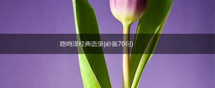 路鸣泽经典语录(必备70句),第1张