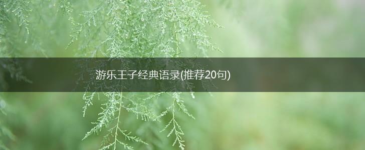 游乐王子经典语录(推荐20句),第1张