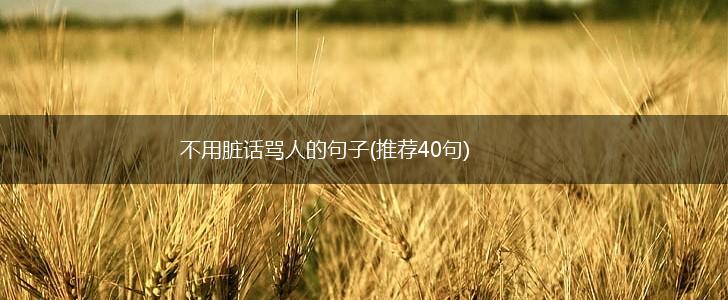 不用脏话骂人的句子(推荐40句),第1张