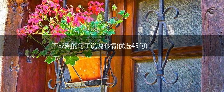 不成熟的句子说说心情(优选45句),第1张
