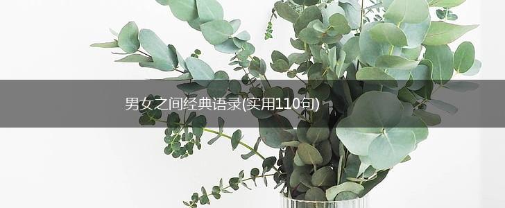 男女之间经典语录(实用110句),第1张