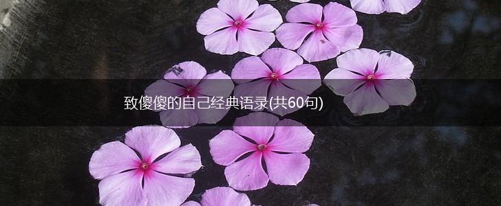 致傻傻的自己经典语录(共60句),第1张