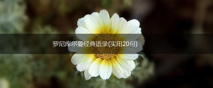 罗尼库尔曼经典语录(实用20句),第1张