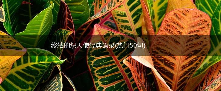 终结的炽天使经典语录(热门50句),第1张