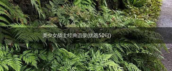 美少女战士经典语录(优选50句),第1张