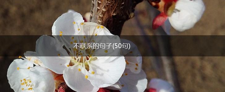 不联系的句子(50句),第1张