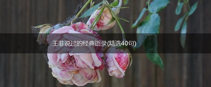 王菲说过的经典语录(精选40句),第1张