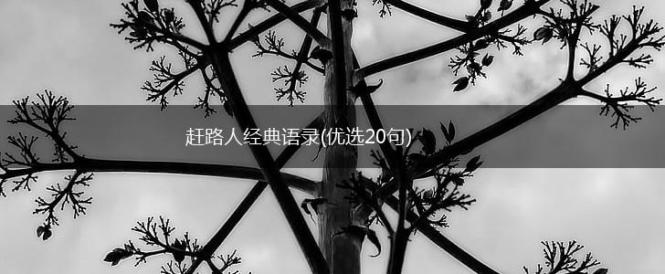 赶路人经典语录(优选20句),第1张