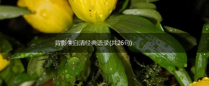 背影朱自清经典语录(共26句),第1张