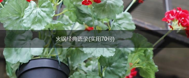 火锅经典语录(实用70句),第1张