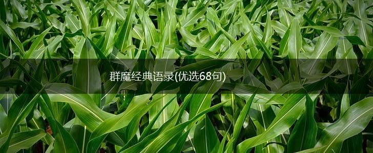 群魔经典语录(优选68句),第1张